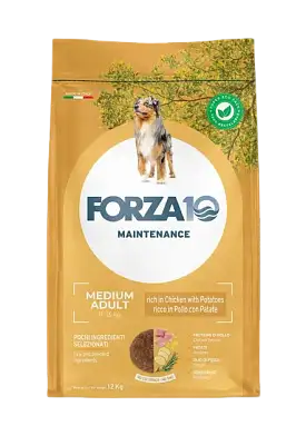 Forza10 Maintenance Dog Adult Medium сухой корм для взрослых собак средних пород с курицей и картофелем